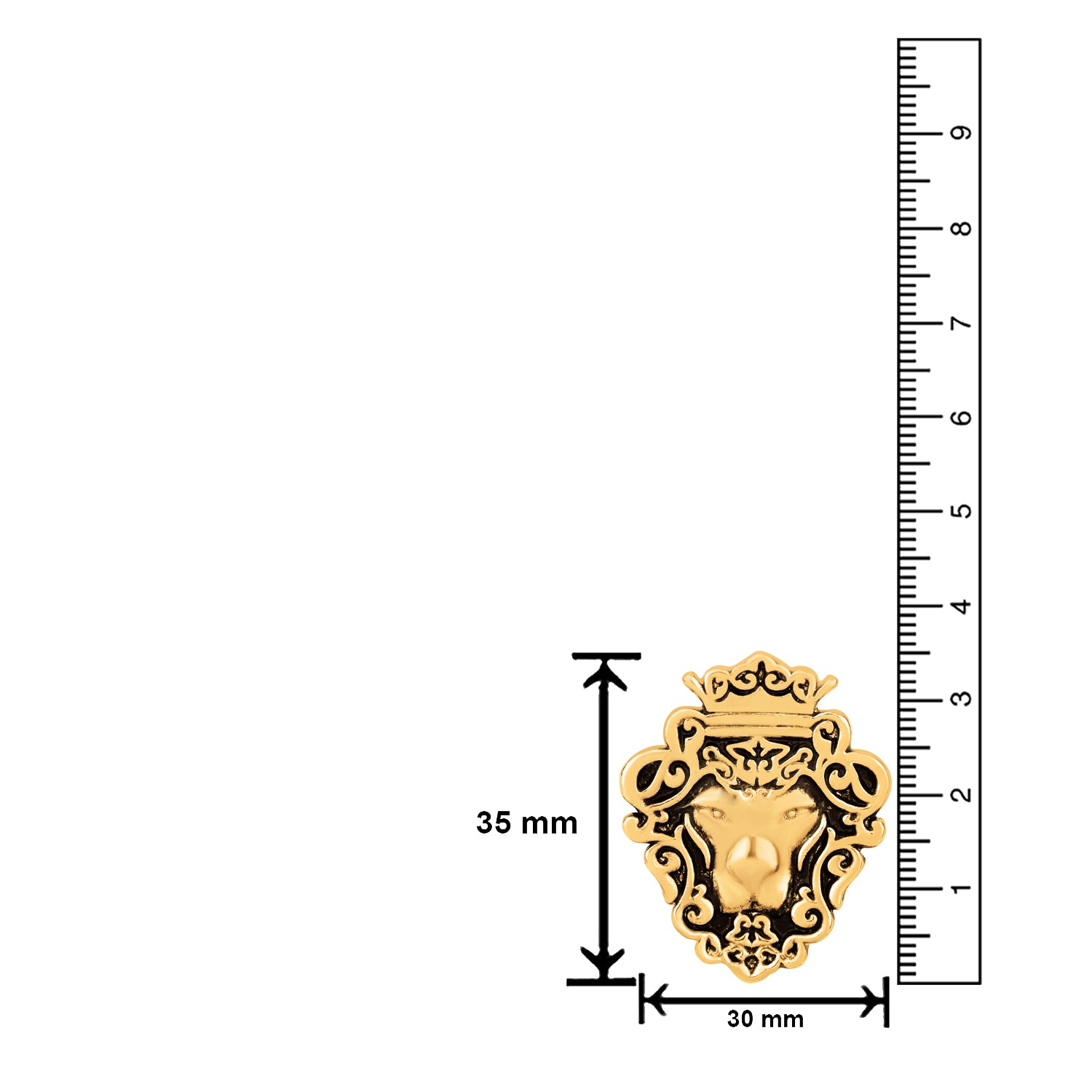Lion Face Lapel Pin Brooch
