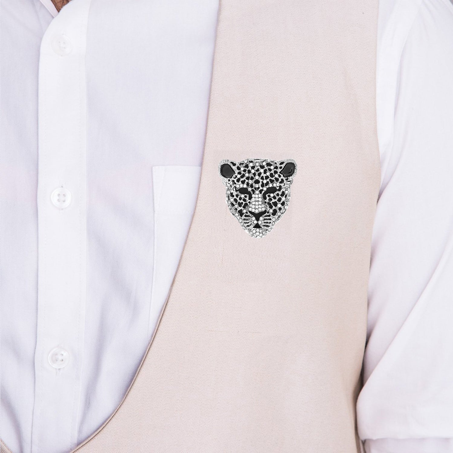 Lion Brooch / Lapel Pin