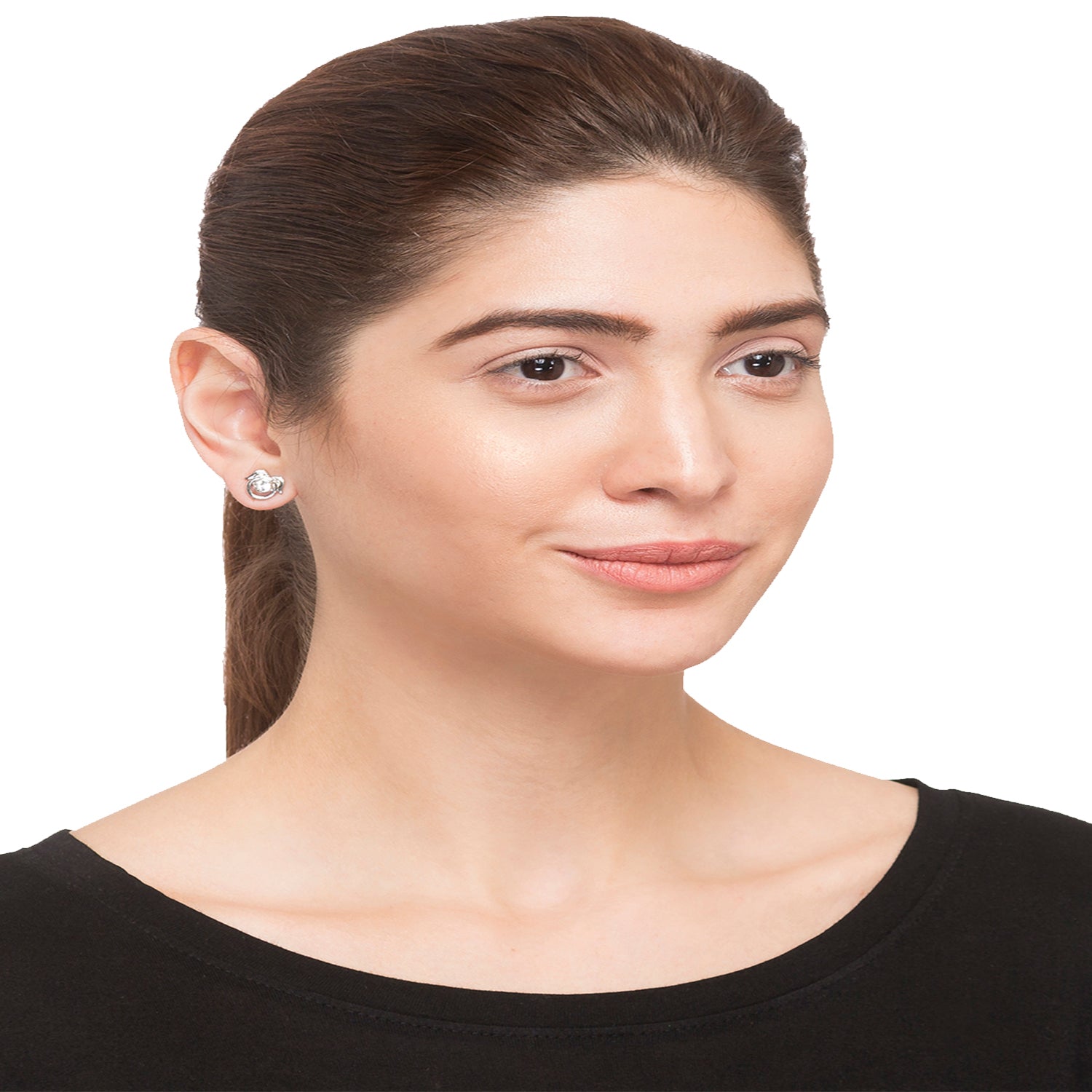 Elegant Earrings combo