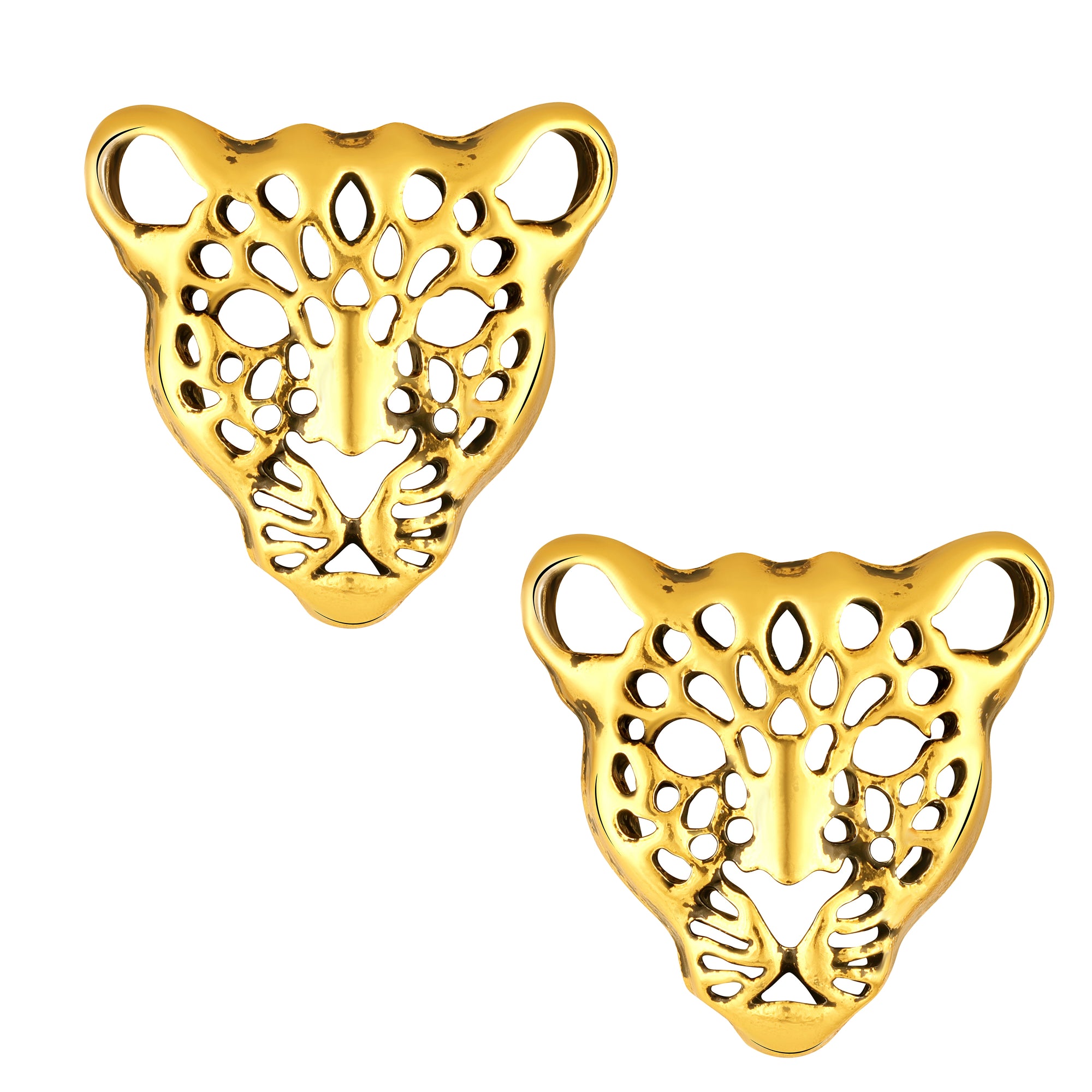 Combo of 2 Lion-Face-Shaped Brooch / Collor Pin