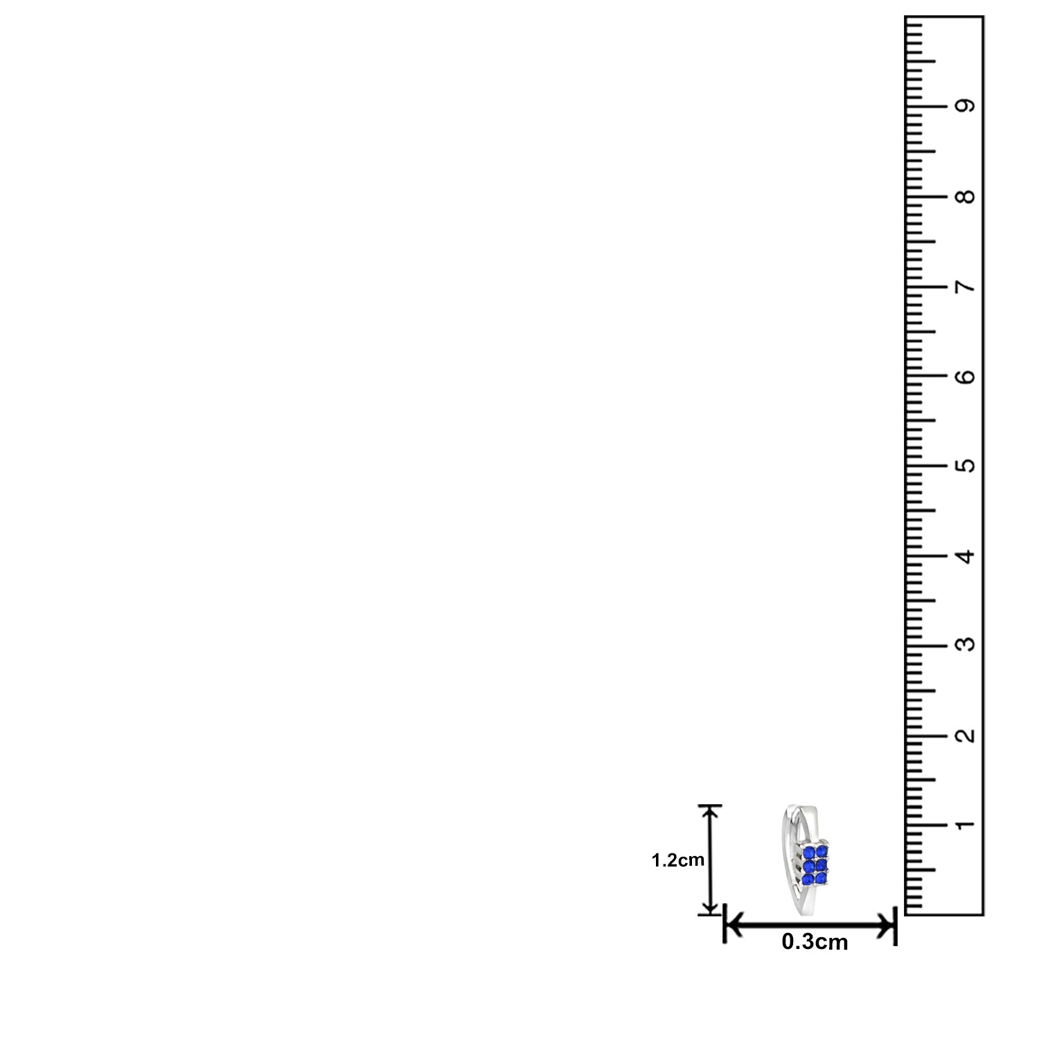 Lush Shine Hoop Bali Earrings