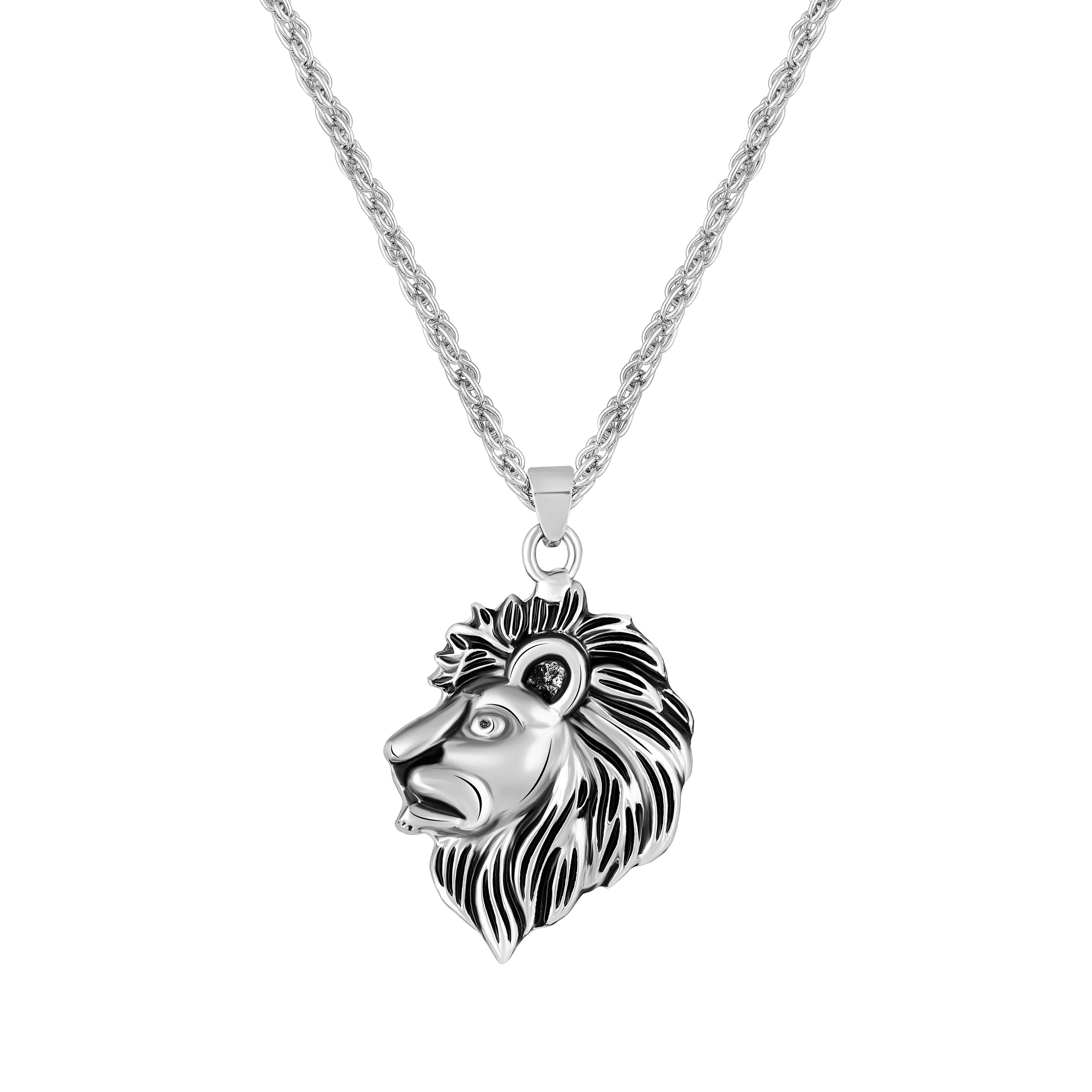 Lion-Head-Shaped Pendant with Chain