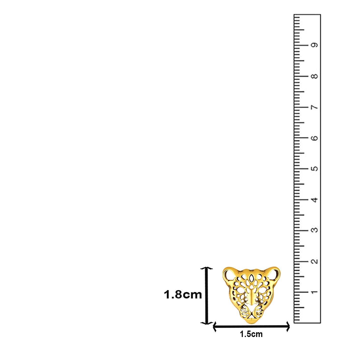 Lion-Face-Shaped Brooch / Lapel / Collar Pin