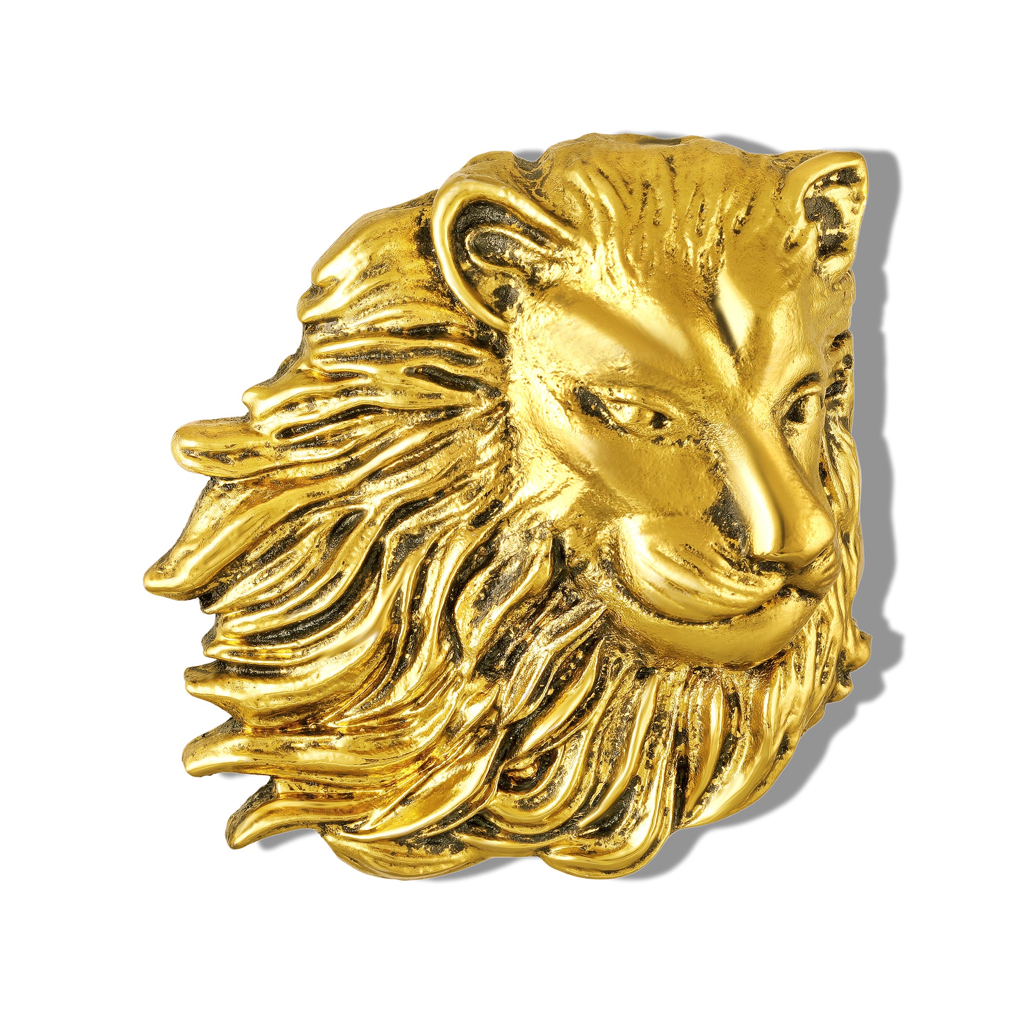 Royal Lion-Head-Shaped Brooch for Men