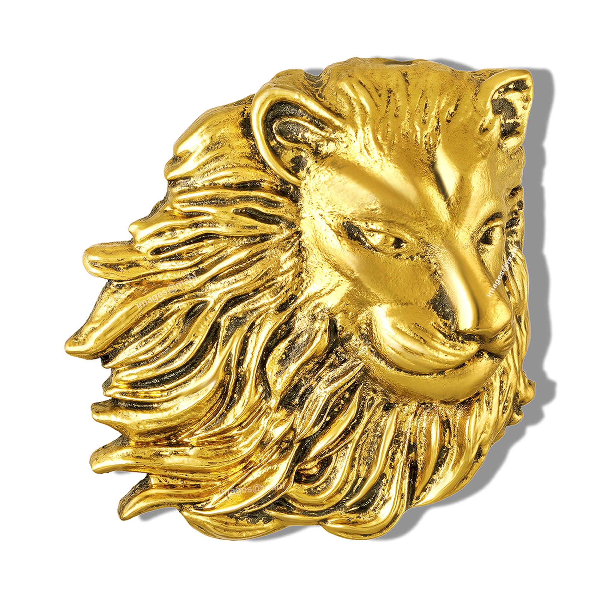 Royal Lion-Head-Shaped Brooch for Men