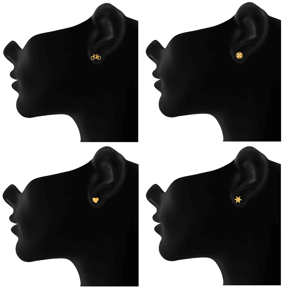 Exquisite Stud Earrings combo