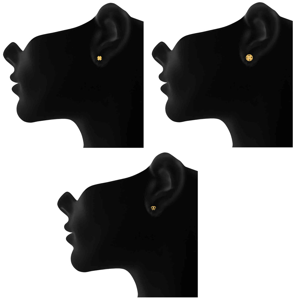 Delightful Stud earrings combo