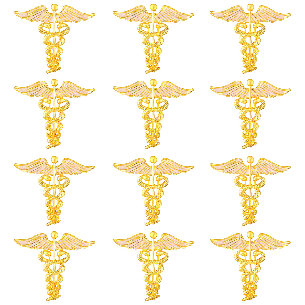 Combo of 2 Caduceus Doctor's Brooch / Lapel Pin